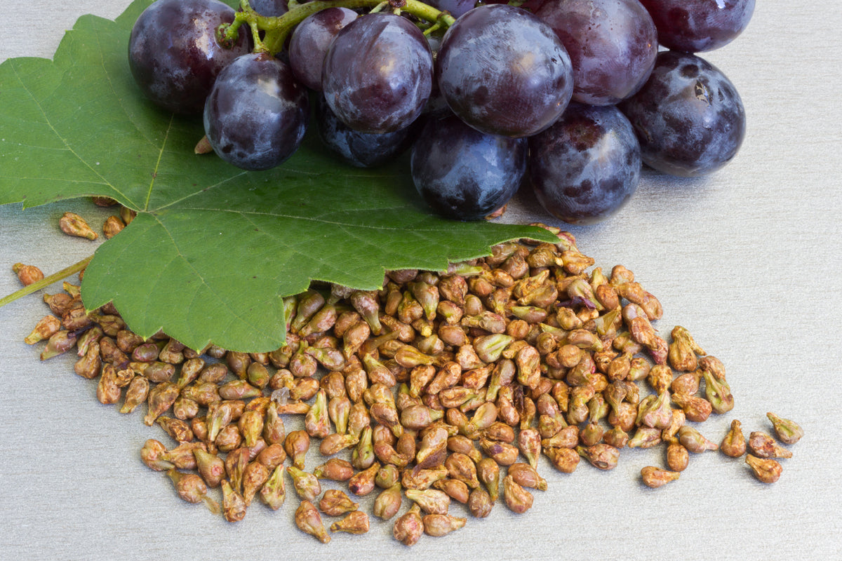Viniseera Polvere di semi d'uva • 150 g