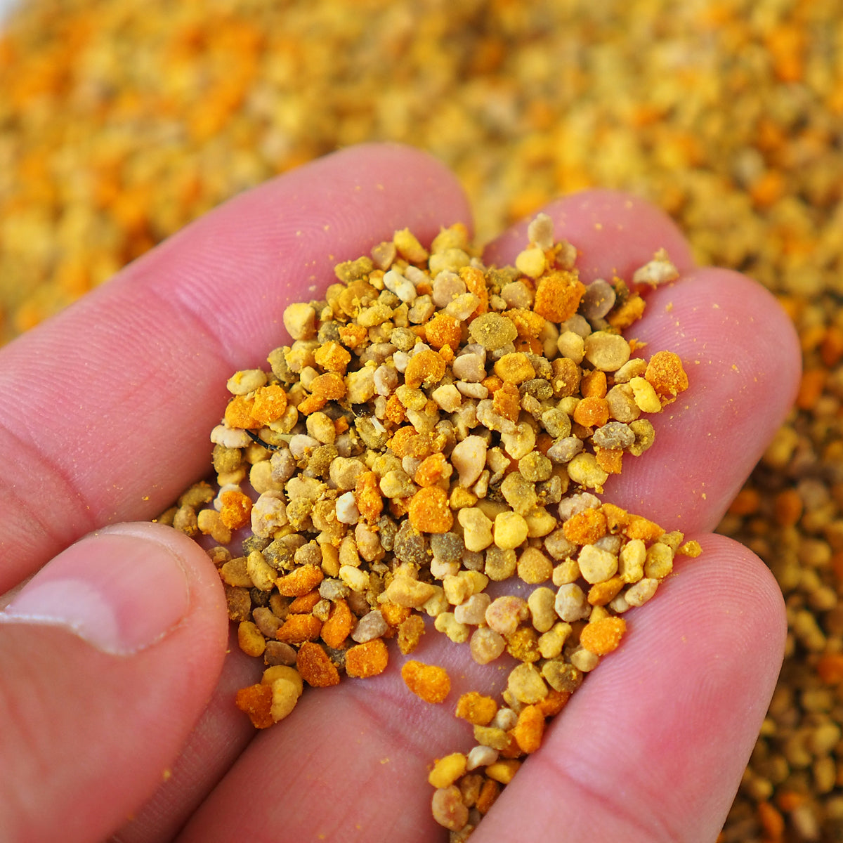 Polline d’api multifloreale essiccato Mannavita • 500 g