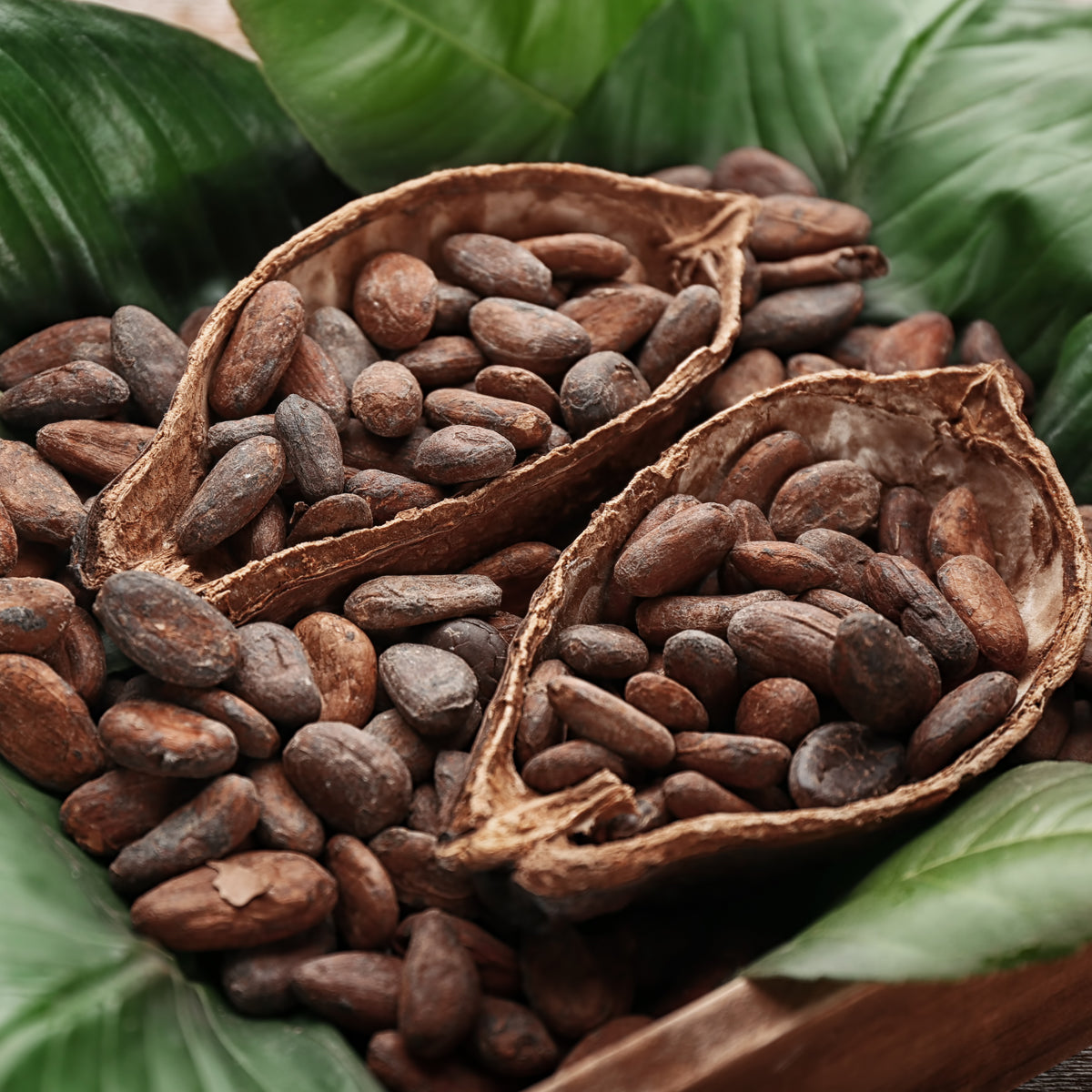 Miele di cacao crudo Bilbo • 250 g