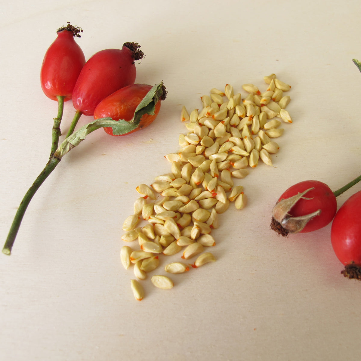 Olio di semi di rosa canina ungherese spremuto a freddo Mannavita • 40 ml