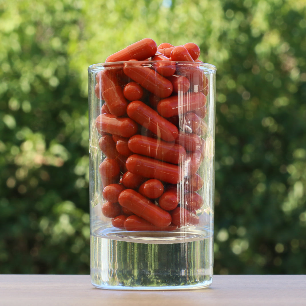 FEMNOX Pappa Reale + Inositolo + Acido Folico + Complesso di Vitamina B12 • 90 capsule