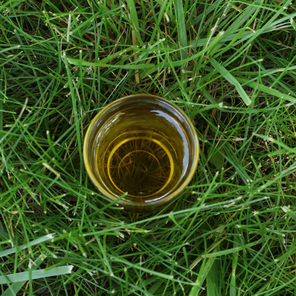 Olio di vinacciolo ungherese spremuto a freddo Mannavita • 250 ml