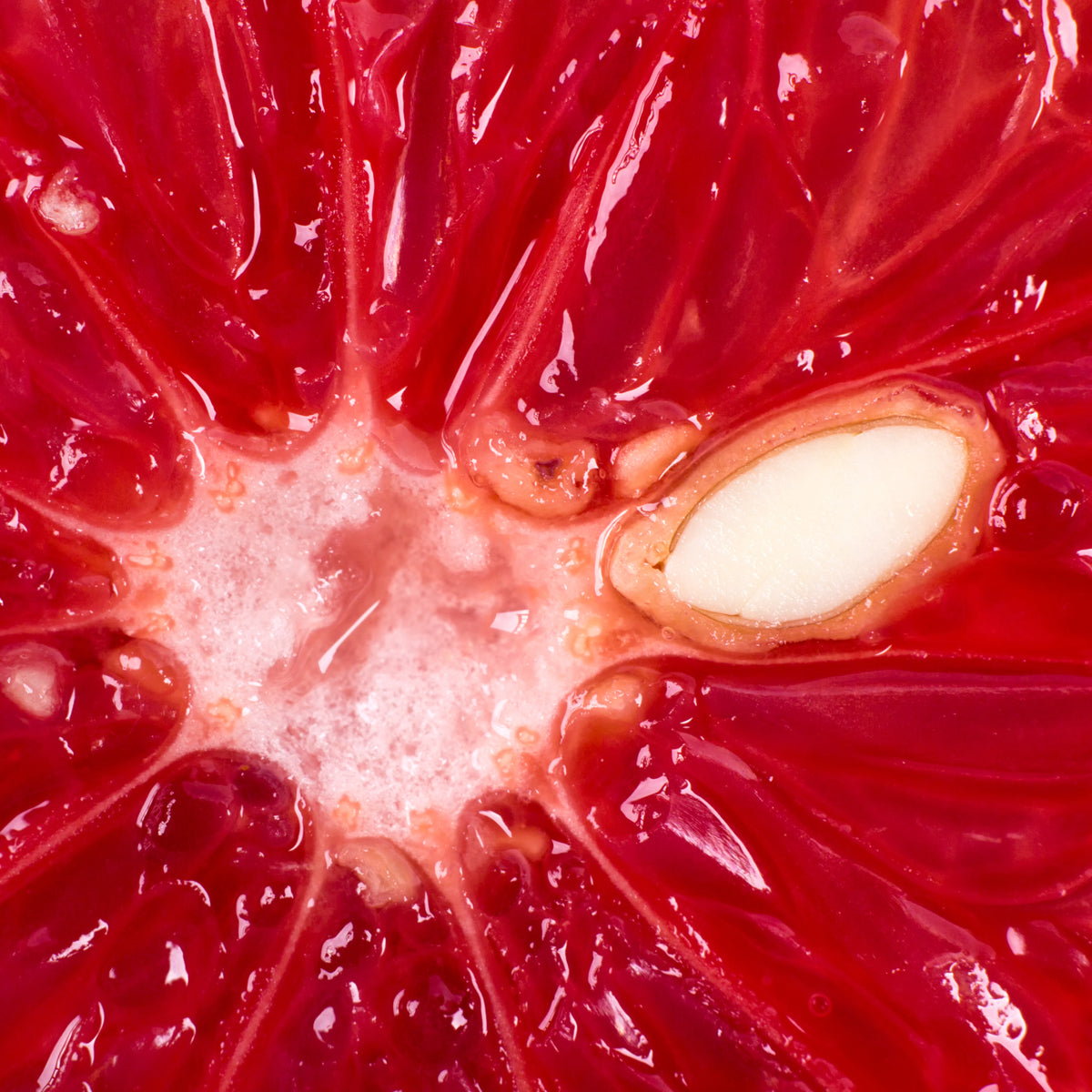 Mannavita Gocce di estratto di semi di pompelmo • 100 ml