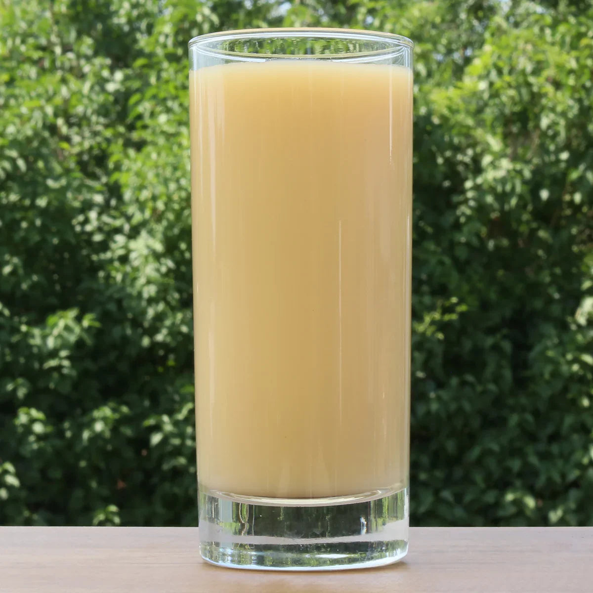 Mannavita Graviola 100% pure pressed purée • 500 ml - Mannavita