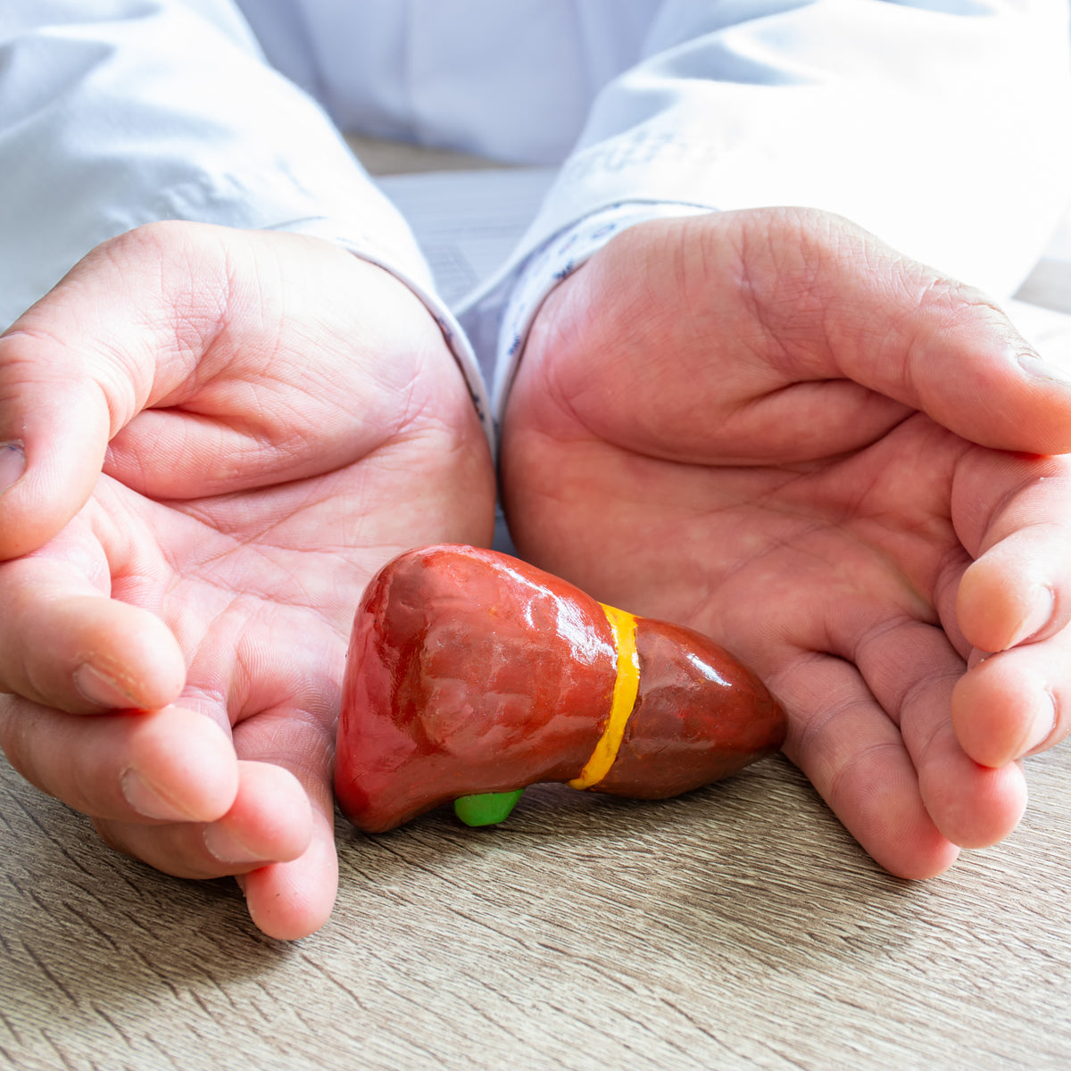 HEPAVITAL Miscela di tisana erboristica attiva detox per il fegato • 80g