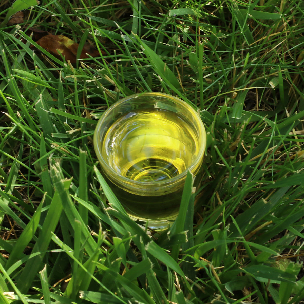 Olio di semi di papavero ungherese spremuto a freddo Mannavita • 250 ml