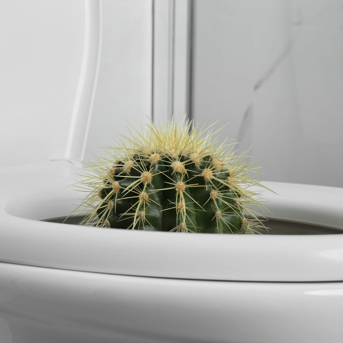 Crema Proctan per emorroidi • 50 ml