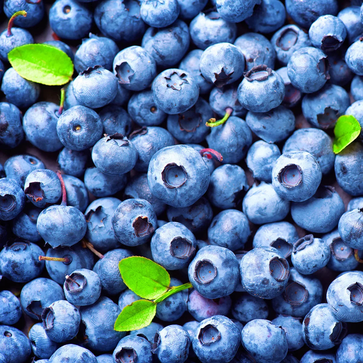 PrOcum Eye strengthening complex • 60 capsules - Mannavita