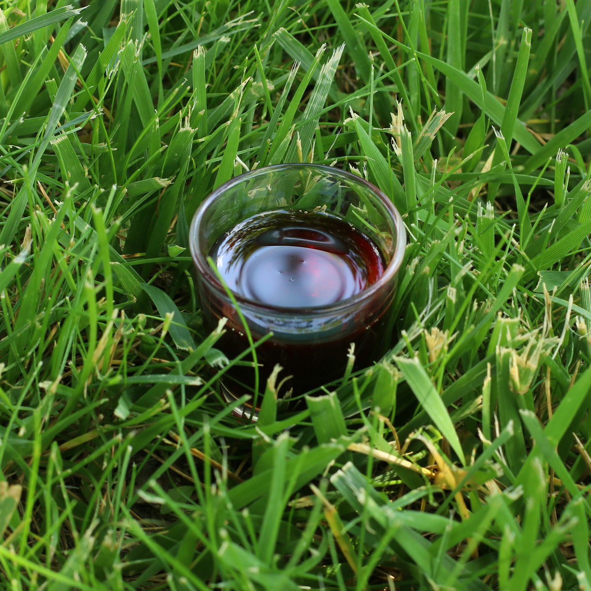 Mannavita Olio di semi di zucca ungherese spremuto a freddo • 250 ml