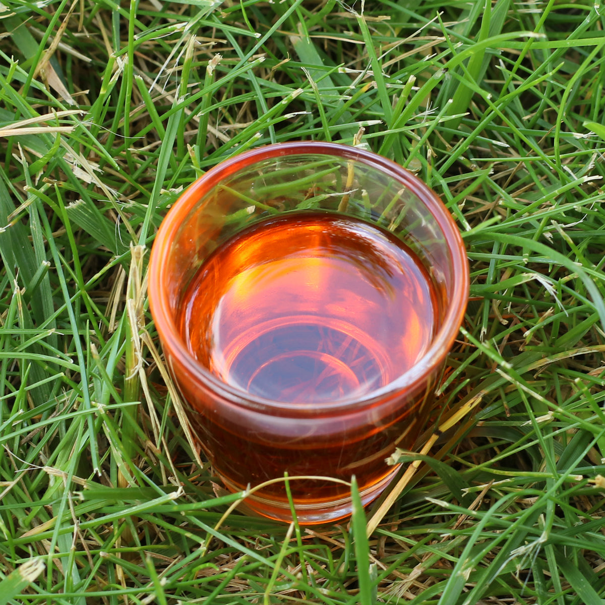 Mannavita olio di semi di olivello spinoso ungherese spremuto a freddo • 40 ml