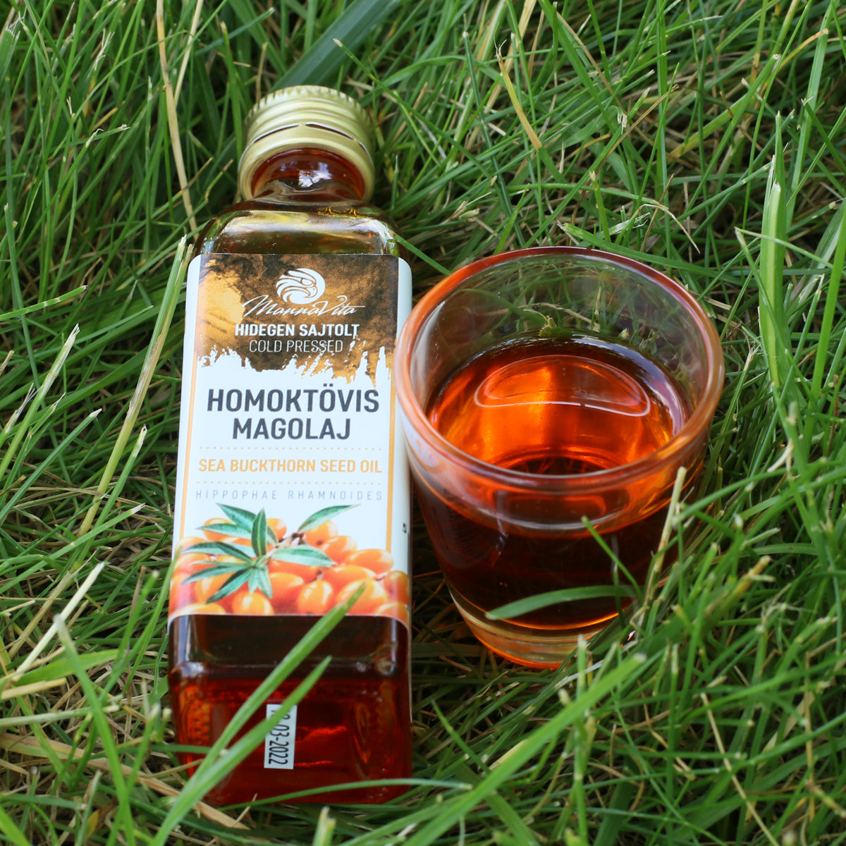 Mannavita olio di semi di olivello spinoso ungherese spremuto a freddo • 40 ml