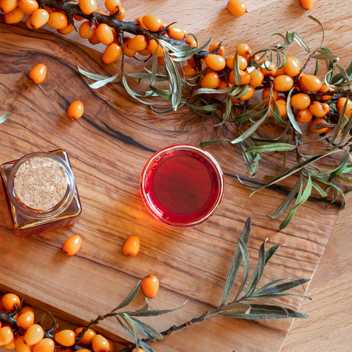 Mannavita olio di semi di olivello spinoso ungherese spremuto a freddo • 40 ml