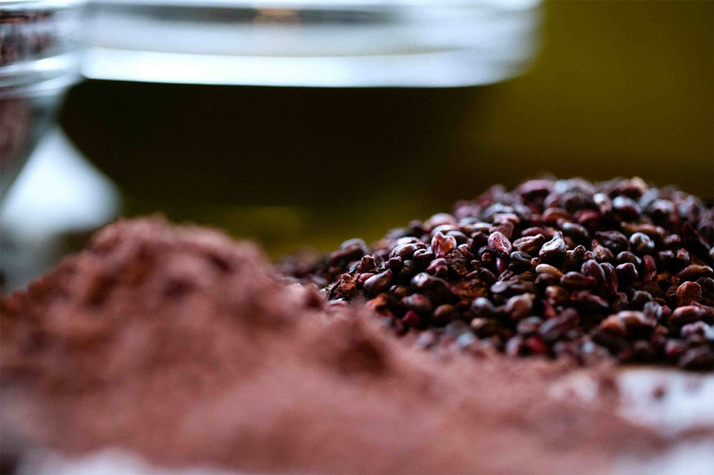 Viniseera Polvere di semi d'uva • 150 g