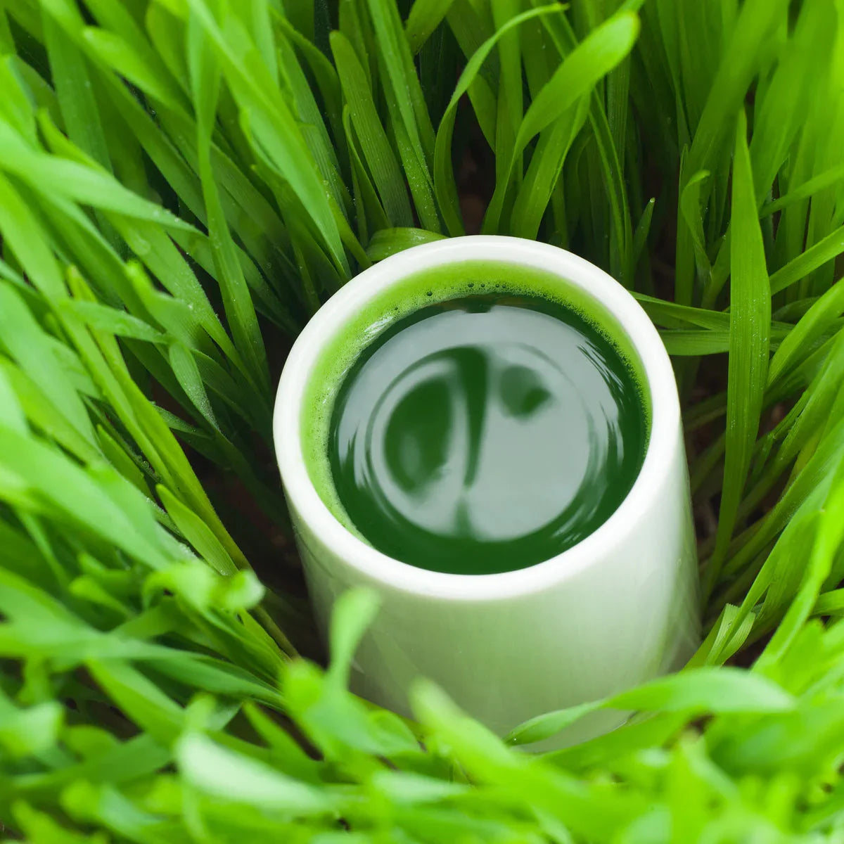 Mannavita Milk Thistle + Wheatgrass + Chlorella + Lucuma • 200 g - Mannavita