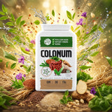 COLONUM capsule per la pulizia del colon e il ripristino dell'intestino • 100 capsule
