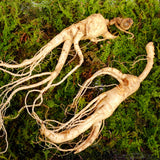 ENDOQIN forza maschile forte • 90 capsule