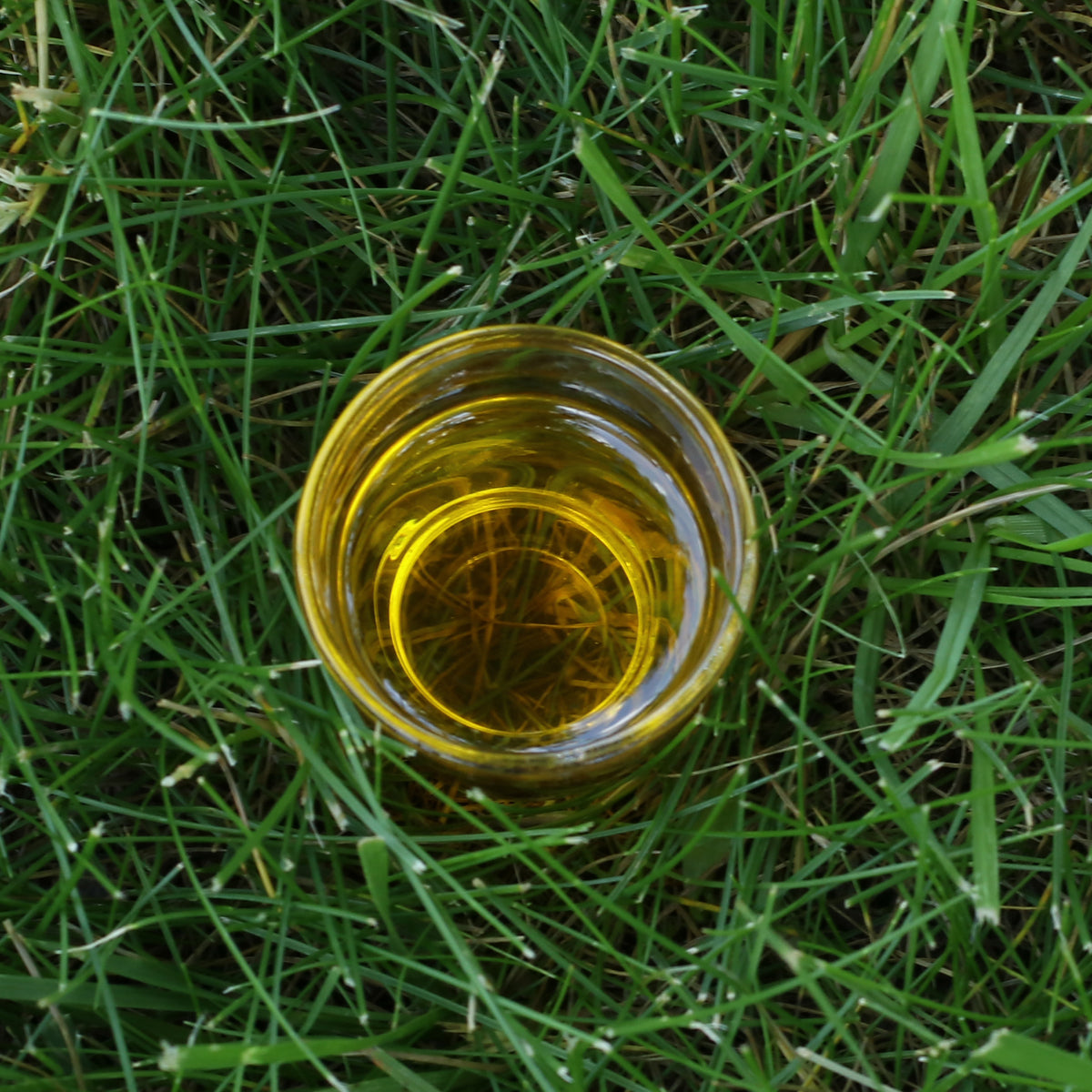 Olio di semi di lino ungherese spremuto a freddo Mannavita • 250 ml