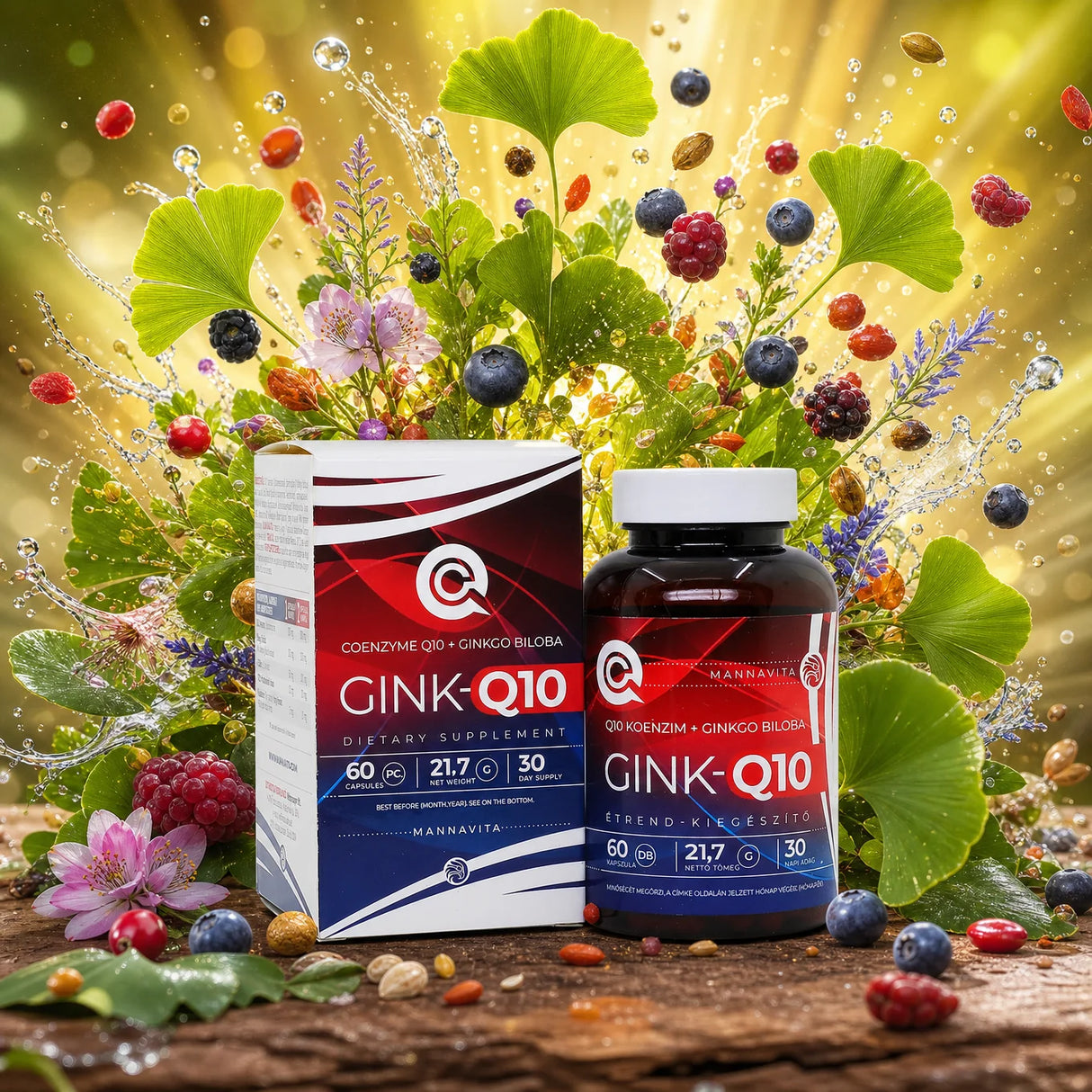 GINK-Q10 • Complesso di Coenzima Q10 + Ginkgo Biloba • 60 capsule