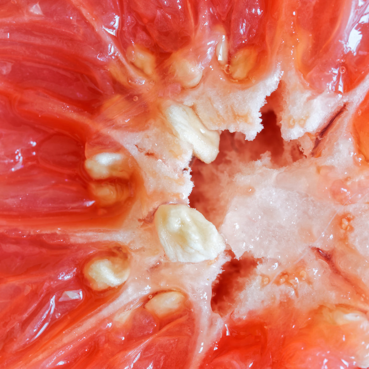 Mannavita Gocce di estratto di semi di pompelmo • 100 ml