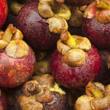 Mannavita Mangosteen 100% pure pressed purée • 500 ml - Mannavita