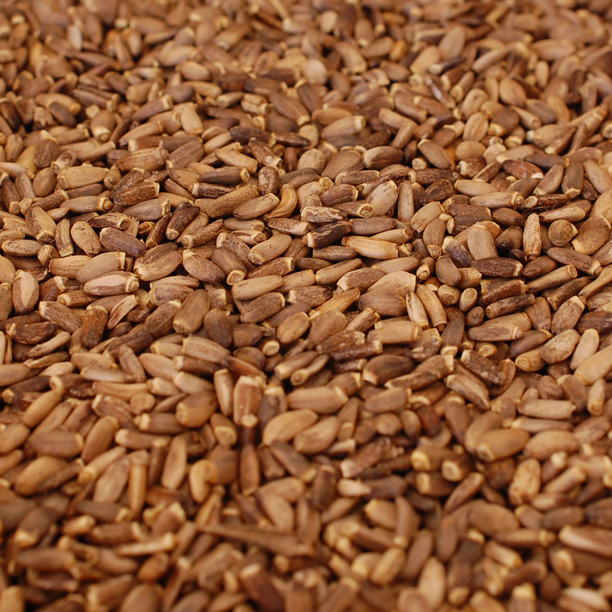 Olio di semi di cardo mariano ungherese spremuto a freddo Mannavita • 250 ml