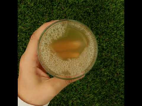 Mannavita succo di Aloe vera, puro spremuto al 100%  • 1000 ml