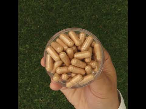 GINK-Q10 • Complesso di Coenzima Q10 + Ginkgo Biloba • 60 capsule