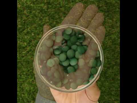 Mannavita • Compresse di Spirulina 500 mg • 180 pz.