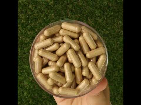 Ashwarax per il sollievo da ansia, panico e insonnia • 90 capsule