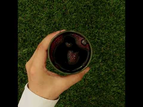 Mannavita succo di Mirtillo Rosso, puro spremuto al 100% • 500 ml