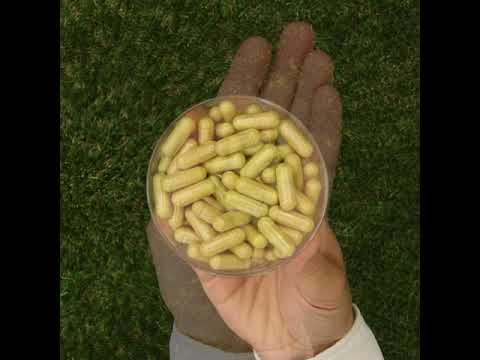 ENZIMA+ complesso di Enzimi Digestivi con Betaina HCL • 90 capsule