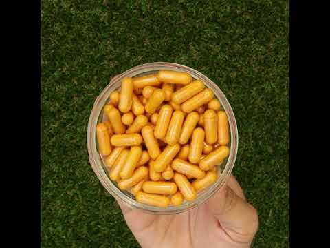 KURKUNEX complesso di estratto di curcuma • 90 capsule