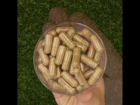 HEPADEX • Complesso Rigenerante per il Fegato e Migliorativo, della Salute del Fegato • 60 capsule