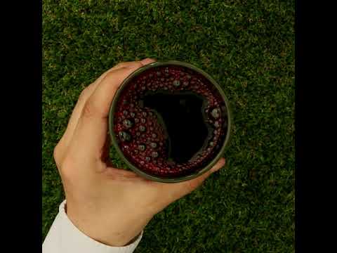 Mannavita succo di Mirtillo, puro spremuto al 100% • 500 ml