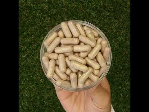 Mannavita Complesso di Vitamina C • 250 mg bioattivo • 60 capsule