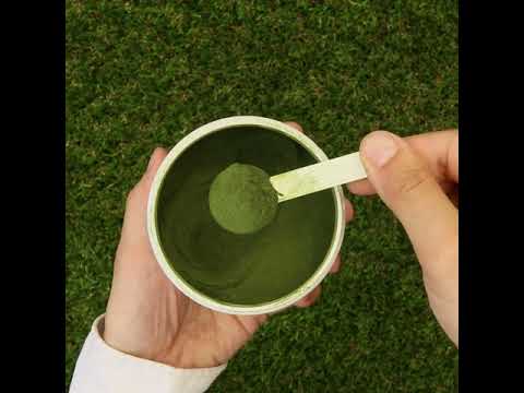 Mannavita polvere di succo di Erba di Grano cruda • senza glutine • 140g