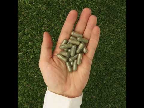 IMUNEX - Complesso di Alghe • con 5 alghe • 180 capsule