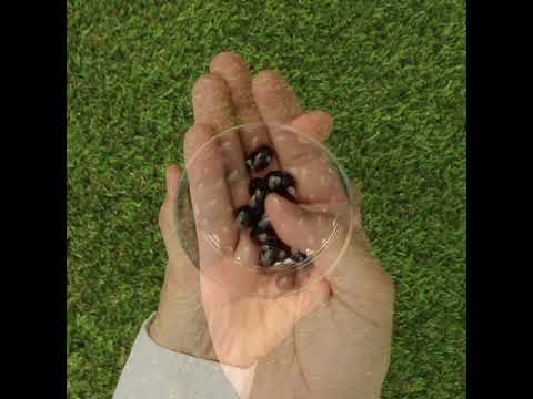 MegaKRILL 1500 mg olio di krill + olio di pesce • 90 capsule