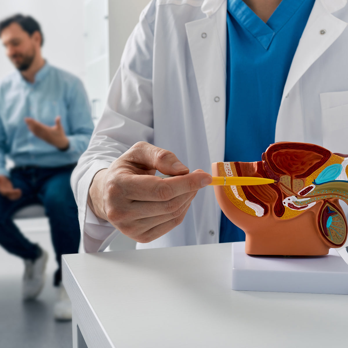 PROSTAX complesso per la prostata • 60 capsule