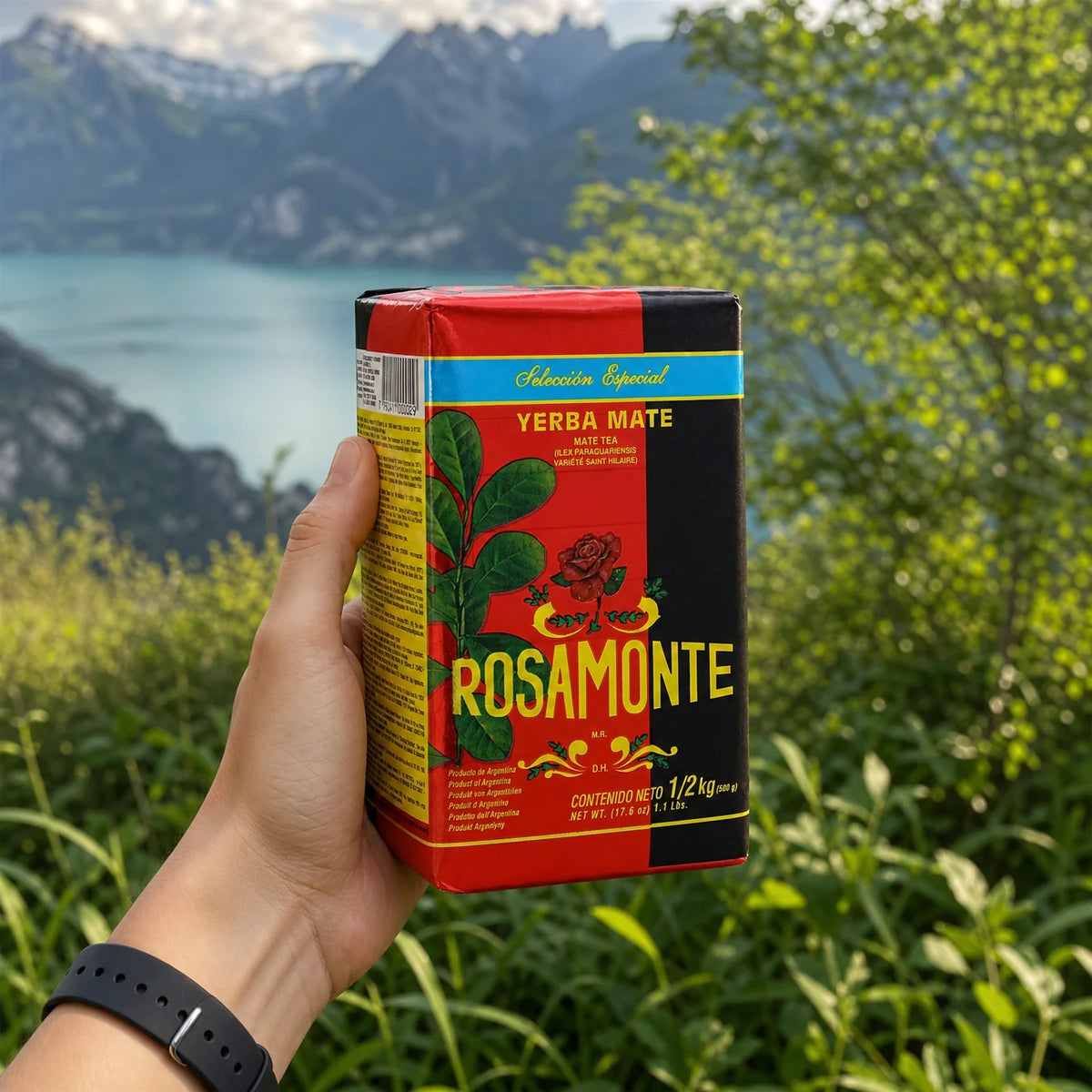 Tè di yerba mate Rosamonte • ESPECIAL • 500 g