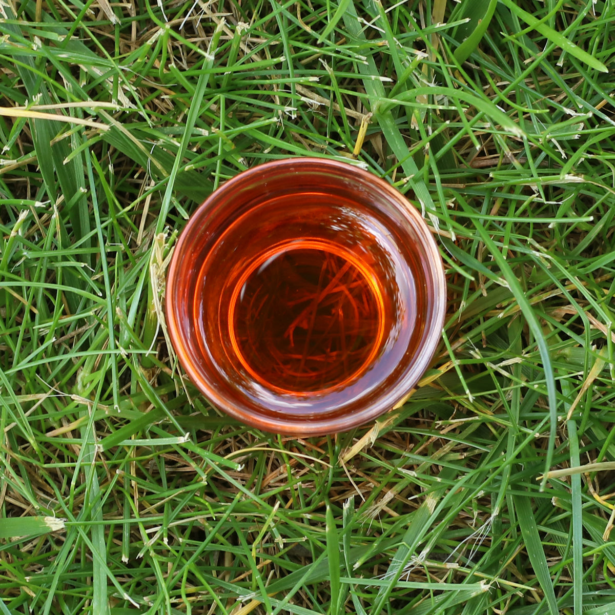 Mannavita olio di semi di olivello spinoso ungherese spremuto a freddo • 40 ml