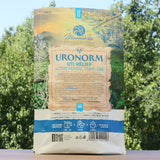 URONORM miscela di tisana attiva a base di erbe per il sollievo delle infezioni urinarie • 80g